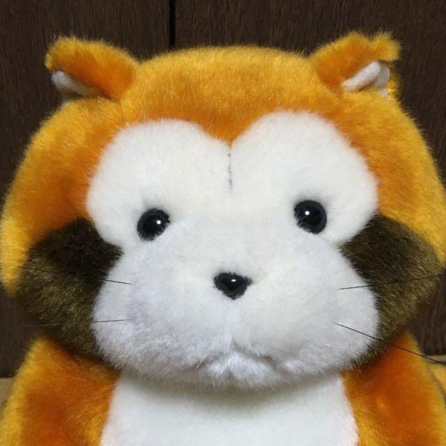 Amazon.co.jp: 限定品あらいぐまラスカル北海道ラスカルぬいぐるみ中